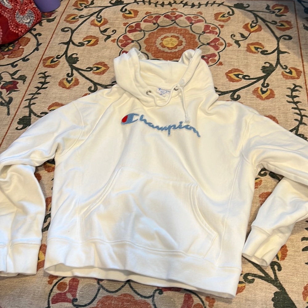 champion reverse weave hoodie